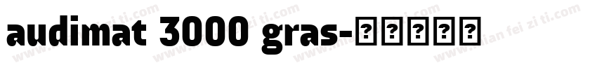 audimat 3000 gras字体转换